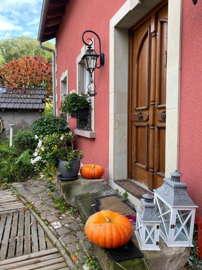 Logis Hotel Domaine Du Moulin Saint-Avold Buitenkant foto